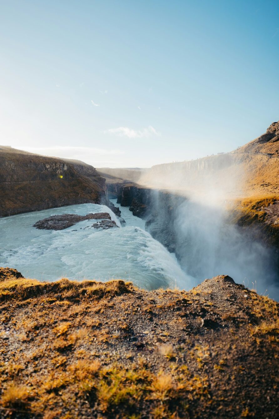Iceland Petting Zoo Etiquette