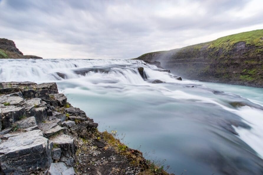 The Most Scenic Spots for Wildlife Viewing in Iceland