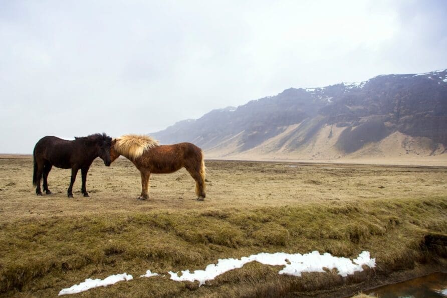 How to Find Hidden Hot Springs in South Iceland