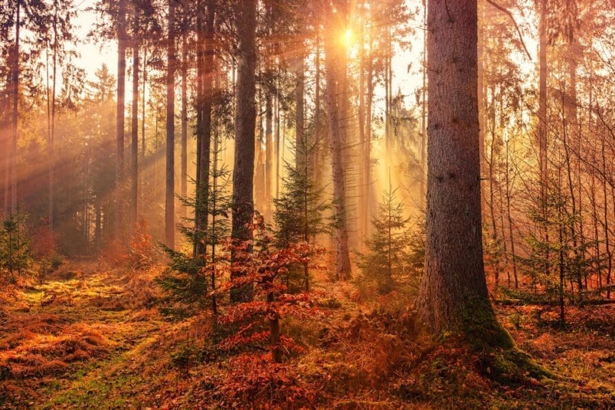 The Top Photography Spots in Hrífunes