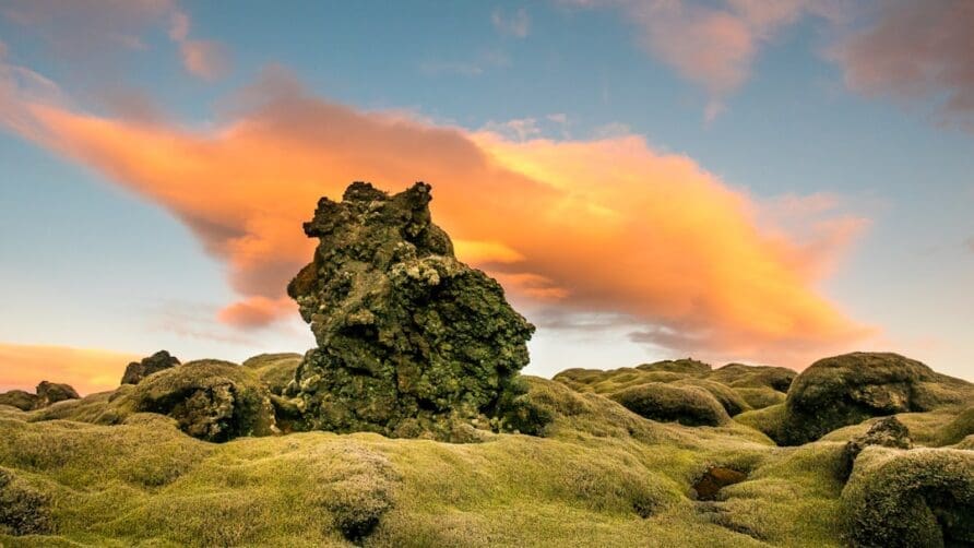 How to Find and Enjoy Iceland’s Best Local Cuisine and Delicacies