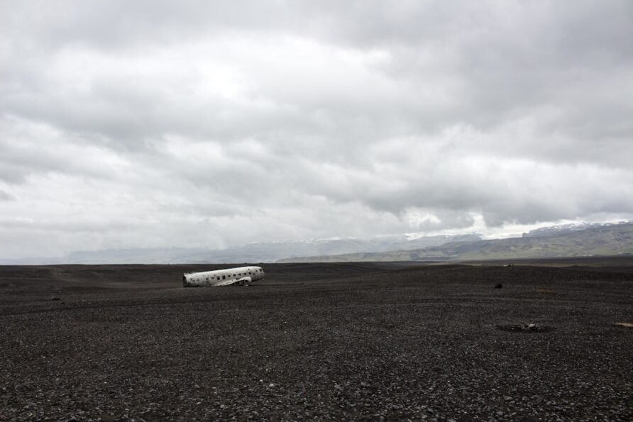 Vegetarian Options in Iceland
