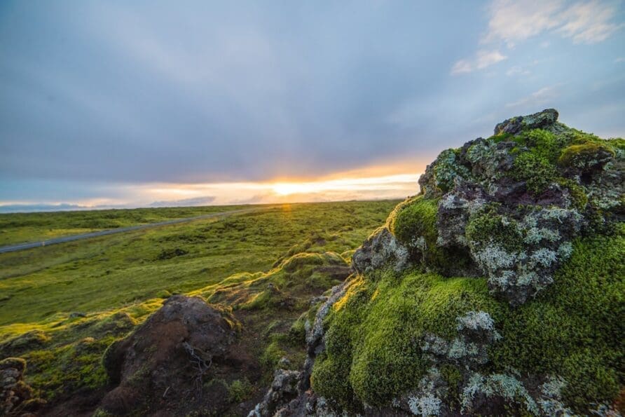 A Guide to Iceland’s Most Scenic and Picturesque Coastal Routes
