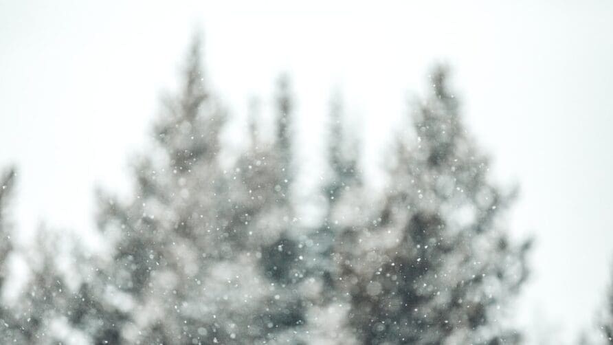 How to Experience Iceland’s Unique Winter Festivals and Events
