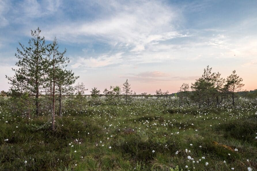 How to Explore Iceland’s Stunning and Remote Nature Areas