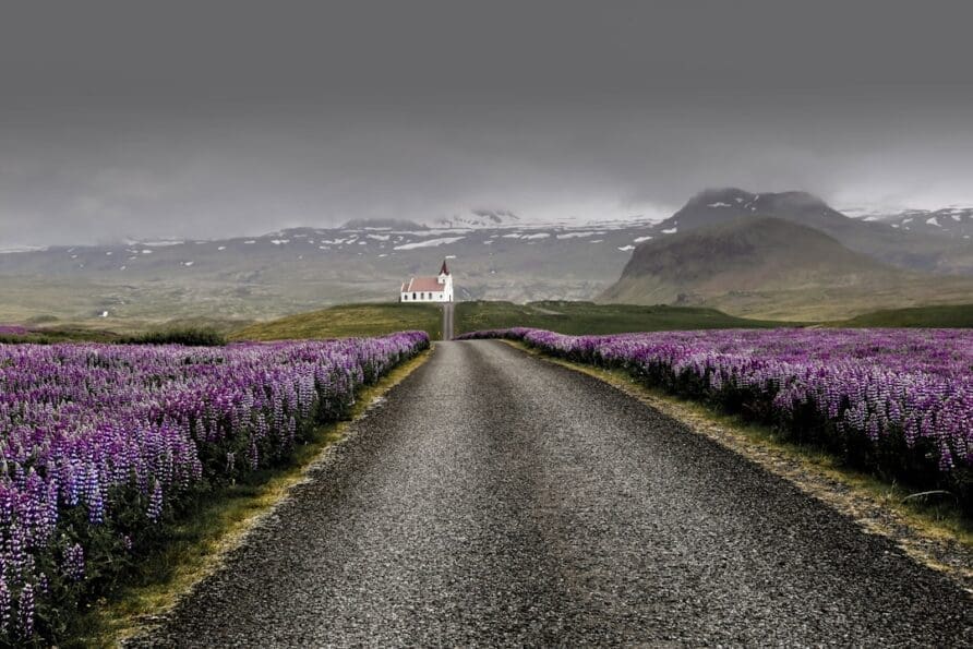The Best Day Trips from Reykjavik